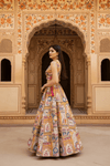 Rajasthani Pichwai Print Lehenga Set Handcrafted Mirror Work & Blouse - Rajni Collection