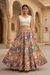 Royal Rajasthani Handcrafted Mirror Work Lehenga